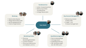 Team Markt Struktur