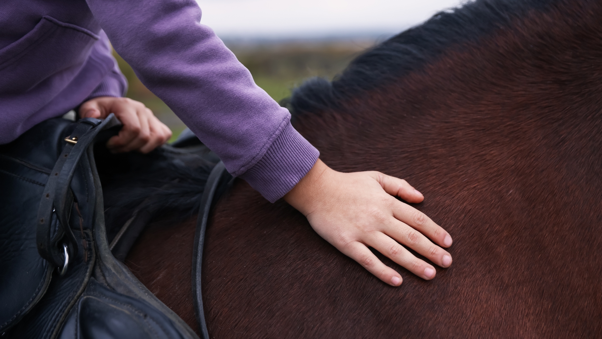 Hippotherapie
